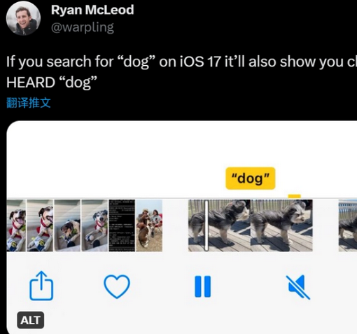 文罗镇apple维修店分享通过关键字搜索iPhone视频内声音 