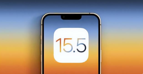 文罗镇苹果手机维修分享iOS15.5 RC版升级建议 