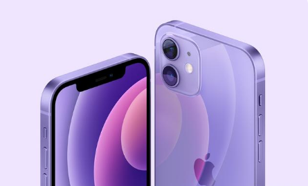 文罗镇苹果手机维修分享紫色版iPhone 12有什么技术亮点 