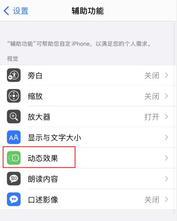 文罗镇苹果手机维修分享iPhone 12 退出应用时没有动画显示，如何设置 